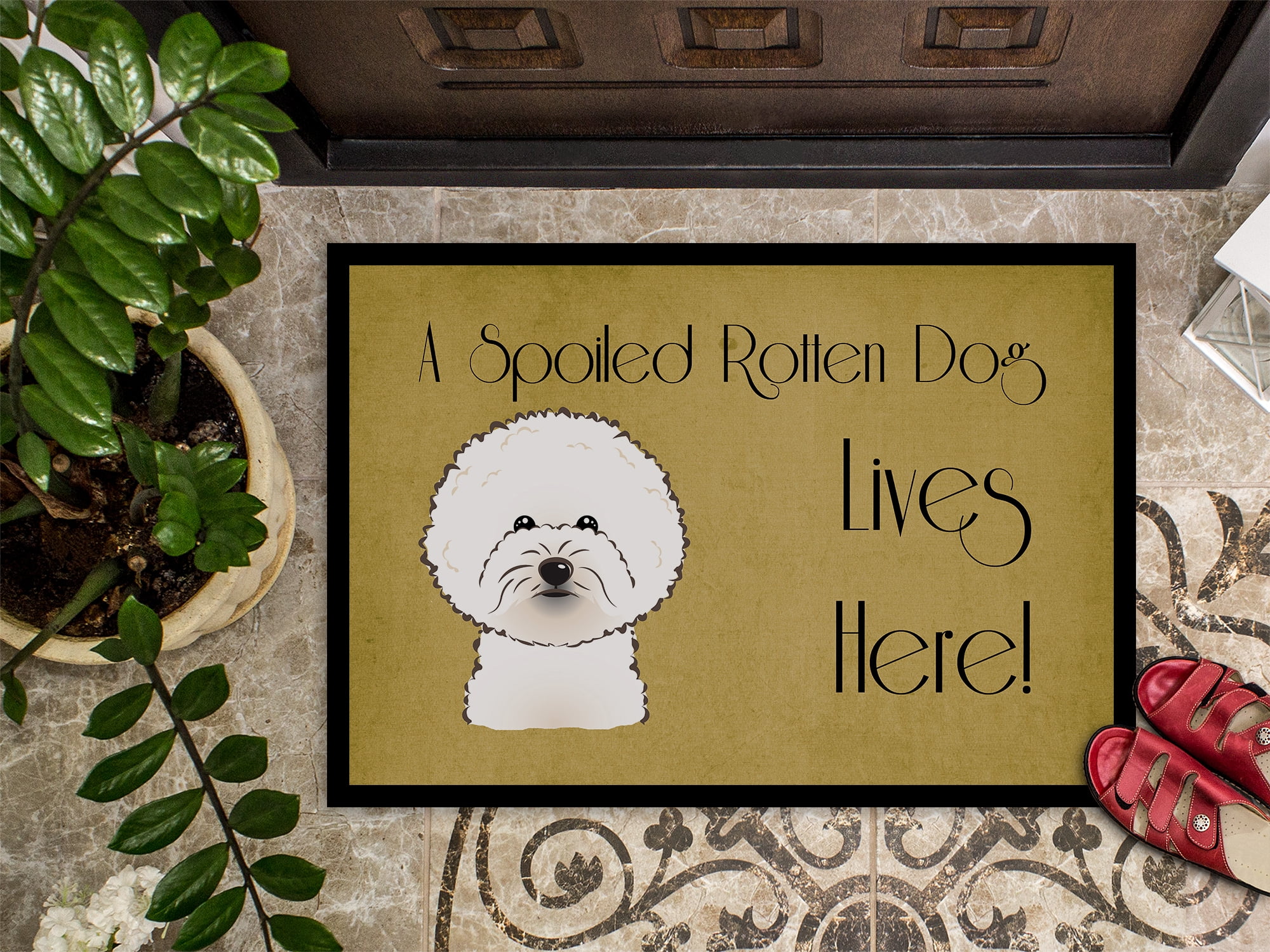 Caroline's Treasures BB1465JMAT Bichon Frise Spoiled Dog Lives Here Door Mat, Indoor Rug or Outdoor Welcome Mat 24x36