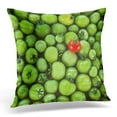 thumbnail image 1 of BOSDECO Housse de Coussin Concept de Marketing Green Crowd How to Stand Out, 18x18 Pouces, 1 of 1