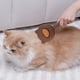 thumbnail image 1 of pstuiky Peine de acero inoxidable para mascotas con aguja de masaje cepillo de depilación peine autolimpiable portátil con un solo clic herramientas de aseo, 1 of 6