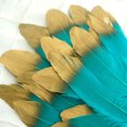 thumbnail image 4 of BalsaCircle 30 Turquoise 9" Metallic Gold Tip Natural Decorations Goose Feathers, 4 of 6