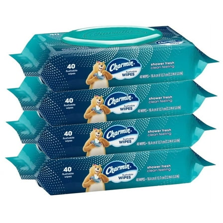 Charmin Freshmates Flushable Wipes With Refillable Tub (Pack Of 4)