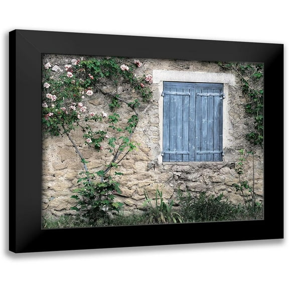 Delimont, Danita 14x12 Black Modern Framed Museum Art Print Titled - Roses In