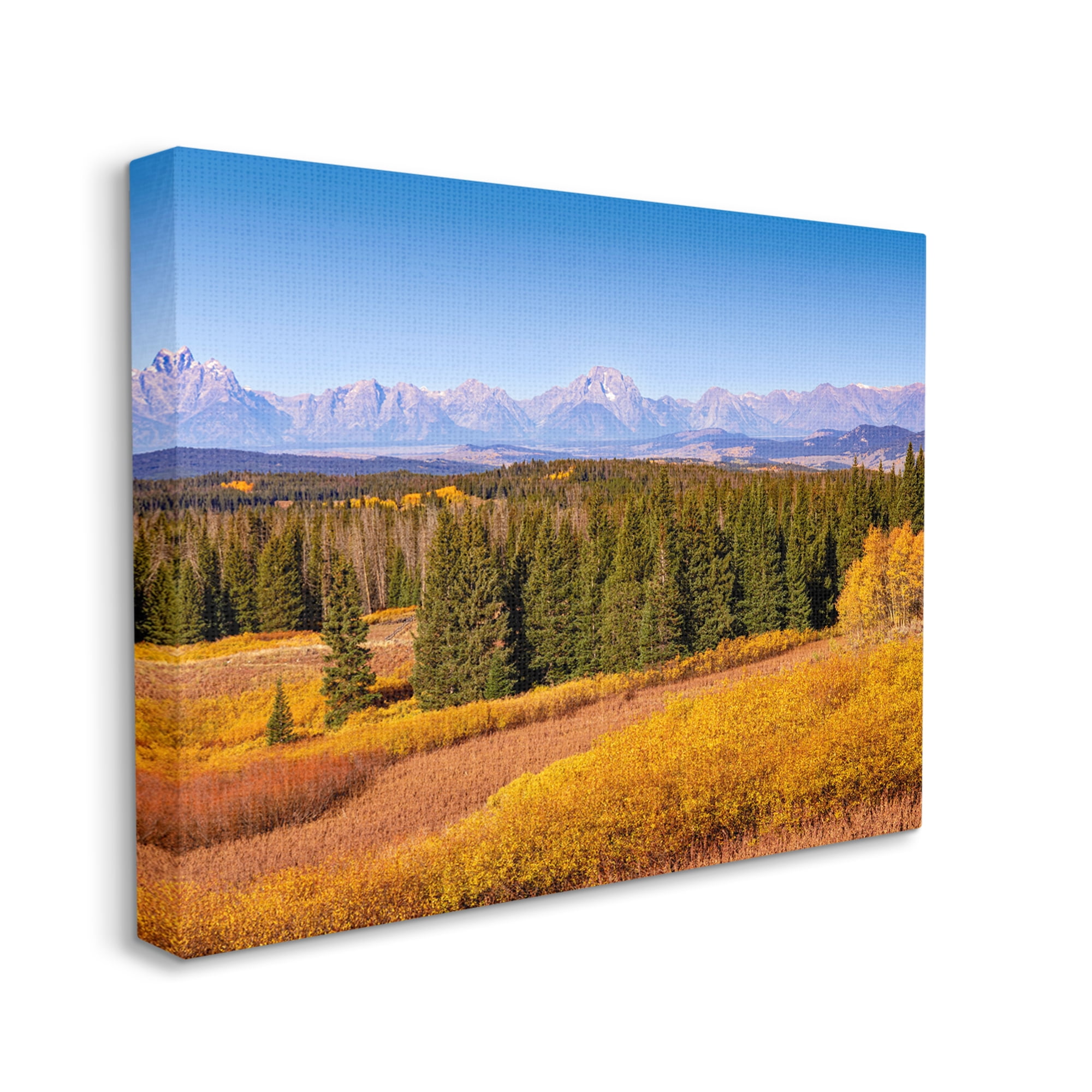 Stupell Industries Distant Mountains Woodland Fields Country Trees Scenery Canvas Wall Art, 20 x 16, Design by Daniel Sproul