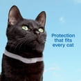 thumbnail image 4 of ADAMS Plus Flea & Tick Collar for Cats, Breakaway Collar, 1 White Collar, 7- Month Protection, 4 of 11