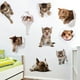 thumbnail image 2 of Un conjunto de adorables vinilos decorativos para perros y gatos de hámster. Vinilos decorativos wa, 2 of 5