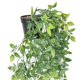 thumbnail image 2 of Plantas colgantes artificiales BLEUM CADE, enredaderas de mandala falsas, 2 unidades, 2 of 9