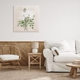 thumbnail image 3 of Stupell Industries Coastal White On Tan Floral Canvas Art, 24 x 24, by Lucille Price, 3 of 8