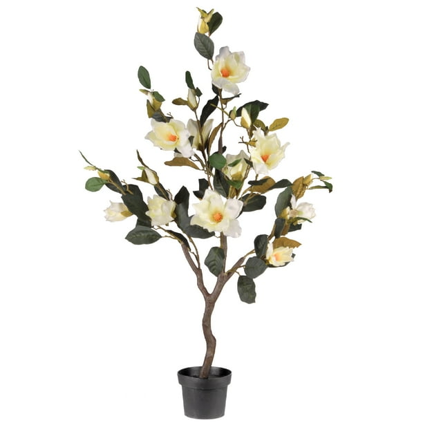 48” Potted Magnolia Tree