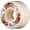 Red / White, variant on Powell Peralta Dragon Formula Nano Rat Green / White Skateboard Wheels 34mm CP - 52mm 97a (Set of 4)