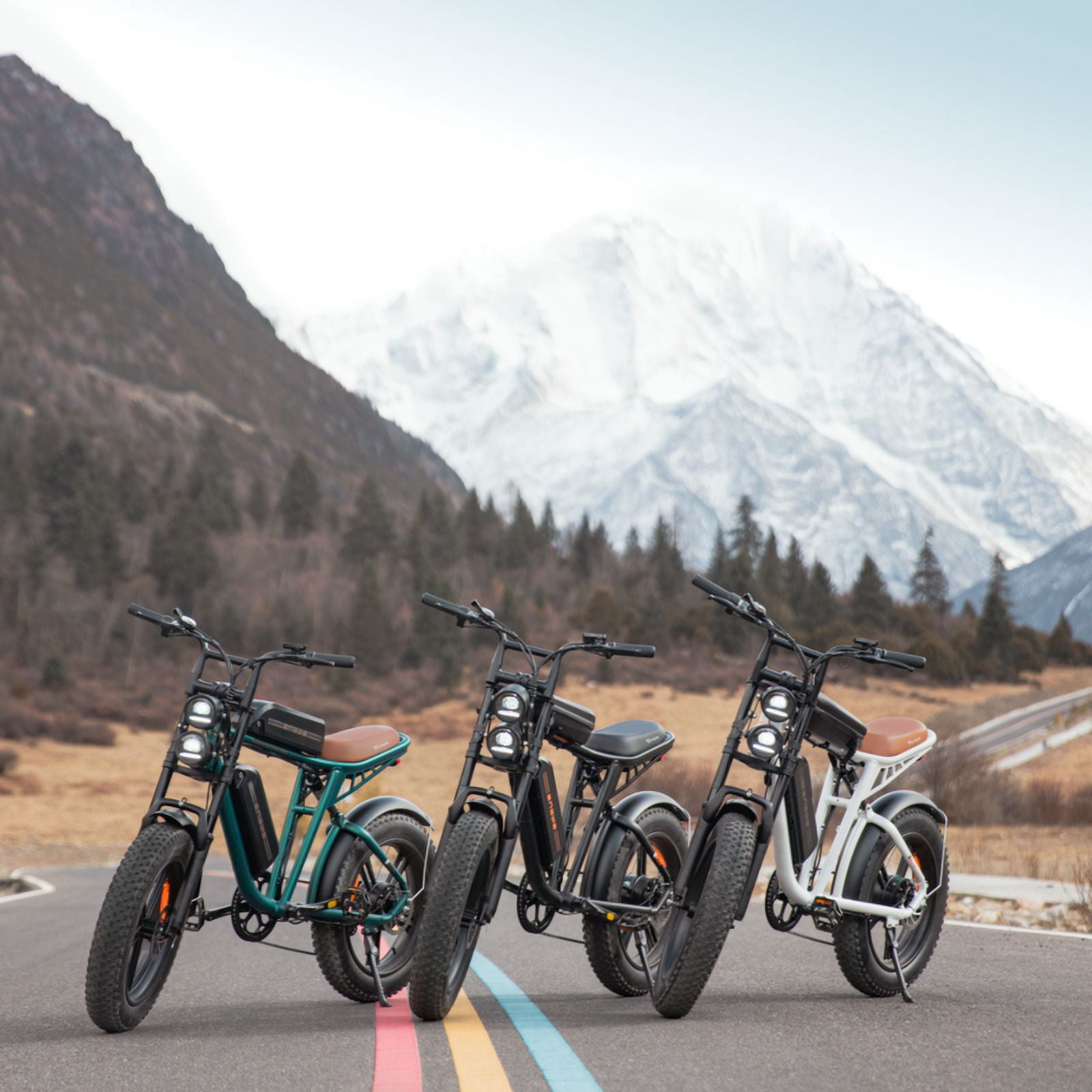 ENGWE 1000W 28MPH Moped Electric Bike 20" Fat Tire Electric Bicycle for Adults with Full Suspension Ebike，94Miles Range Off-Road Mountain Bike with Removable 48V 26Ah Lithium-Ion Battery,UL2849