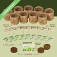 thumbnail image 4 of 9 Herb Window Garden Kit  - Best Gift Ideas for Women, Friend, Her, Mom - Birthday Gifts - Housewarming Present - House Plant Seeds, 4 of 7