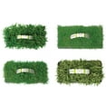 thumbnail image 4 of SodPods Multi Variety Grass Plug Pack (32 Count) Natural, Affordable Lawn Improvement, 4 of 8