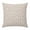 Cream, Blush Pink, Rose, Olive, variant on Throw Pillow Covers 18x18 Inch, Blue Flowers Decorative Pillow Cases for Couch Sofa Bed, Nature Seasonal Botanical Floral Herbs Cotton Linen Square Home Decor Pillowcases with Hidden Zipper