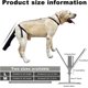 thumbnail image 2 of Dog Tail Protector, Dog Tail Guard Dog Tail Cover for Wounds Black Dog Harness, 2 of 5