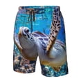 thumbnail image 5 of Naloa Sea Turtle Swims Men's Beach Shorts, Surfing shorts, Swim trunks, Quick Dry Swim Trunks for Surfing Beach Fun - Small, 5 of 9