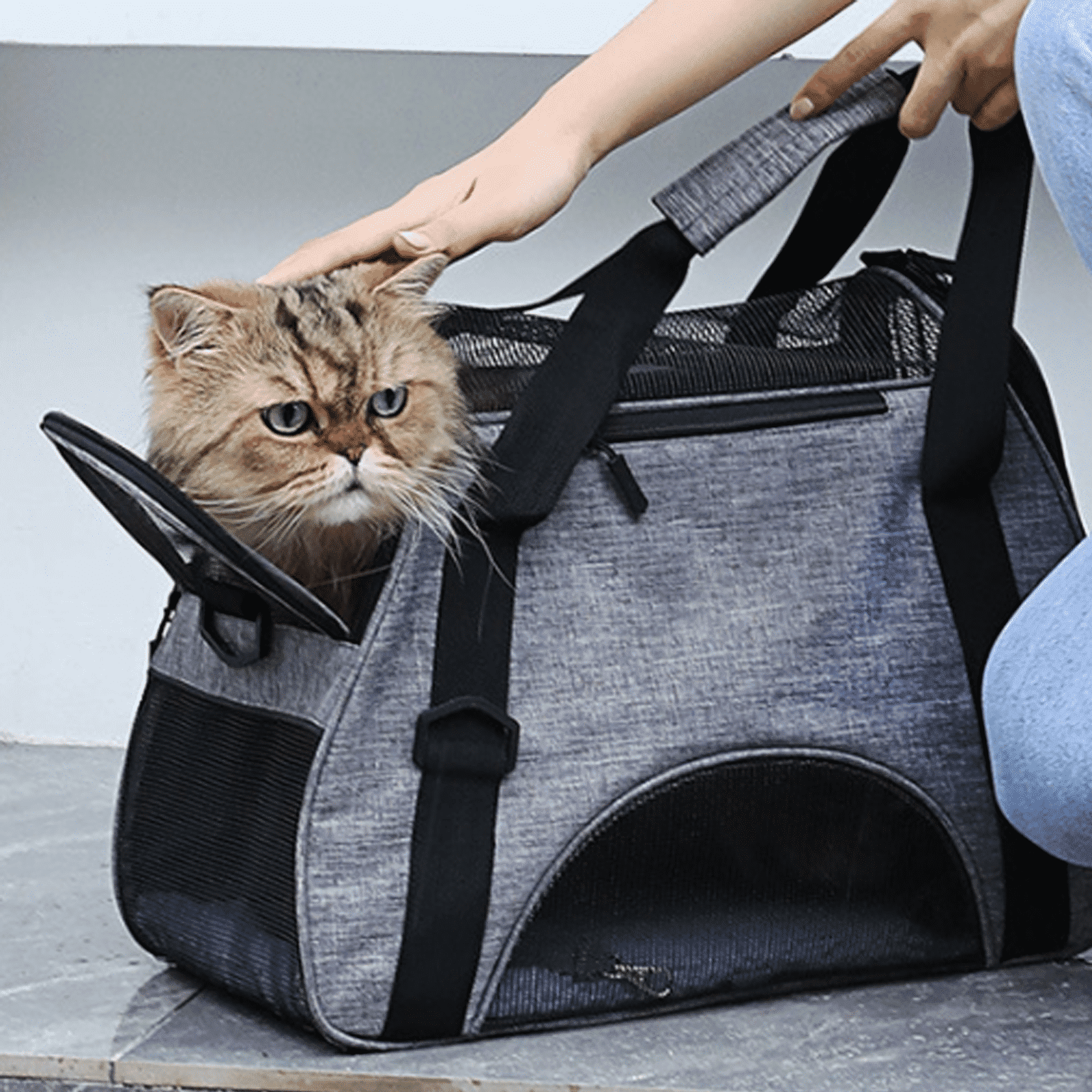BESTSKY Cat Carrier,Lightweight Material Design Cat Backpack,Space-Saving Dog Carriers for Small Dogs,Gray47*30*23cm
