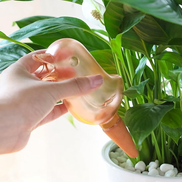 Herramienta automática de agua para plantas y flores, maceta transparente con forma de pájaro