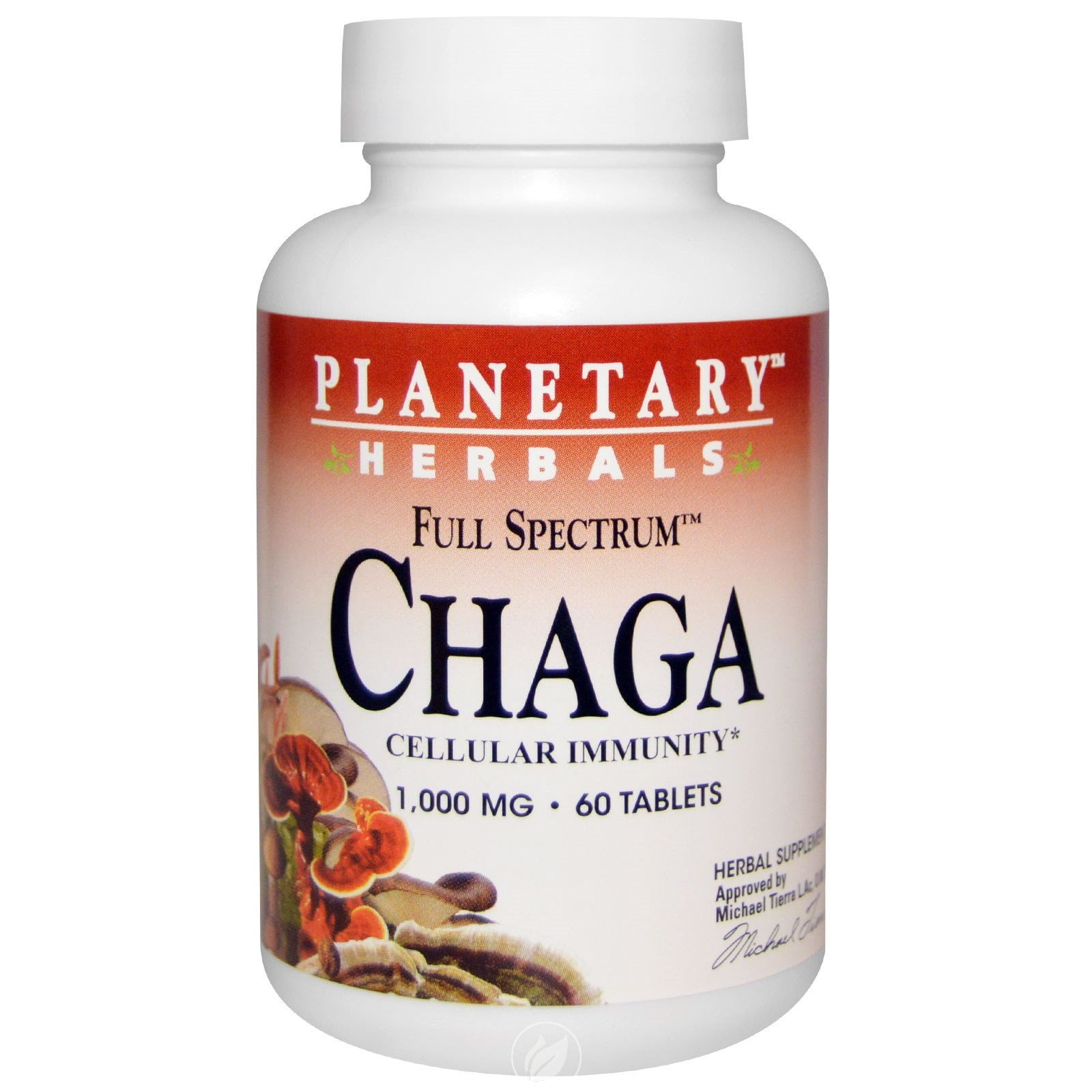 4 Pack) Planetary Herbals Chaga Full Spectrum Nutritional Supplement, 1000  Mg, 60 Count - Walmart.com