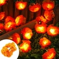 thumbnail image 6 of DefiDgd 59inch 10LED Thanksgiving Halloween Flower Lights String,Battery Powered Orange Lights Halloween Party Indoor Fall Outdoor Harvests Thanksgiving, 6 of 8