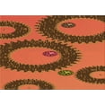 thumbnail image 1 of Ahgly Company Machine Washable Indoor Rectangle Transitional Orange Area Rugs, 8' x 12', 1 of 7