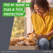 FRONTLINE Plus for Cats and Kittens Flea and Tick Treatment, 6 Count