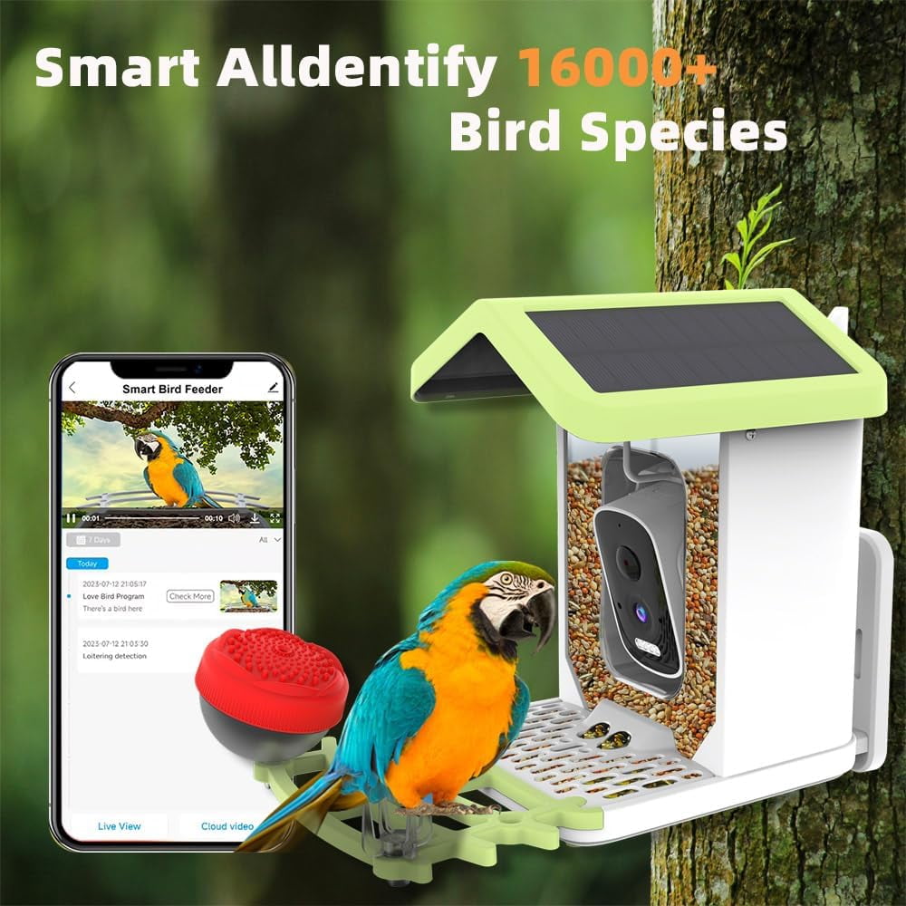Smart Bird Feeder with Camera Solar Powered, 4K HD, AI Recognition, Instant Arrival Alerts, Motion Sensor, Gift for Bird Lover/Green