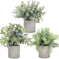thumbnail image 1 of Paquete de 3 mini plantas falsas en macetas, plantas de plástico artificial de eucalipto, madera de romero, plantas de plástico artificial, compatible con estantería de baño, decoración de mesa de esc Afortunado Sencillez, 1 of 5