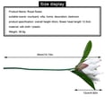 thumbnail image 2 of Tela de seda Flor falsa Oficina en casa Decoración floral Fiesta Ceremonia Flor artificial Fotografía Prop, Blanco Advancent HA6650-01B, 2 of 6