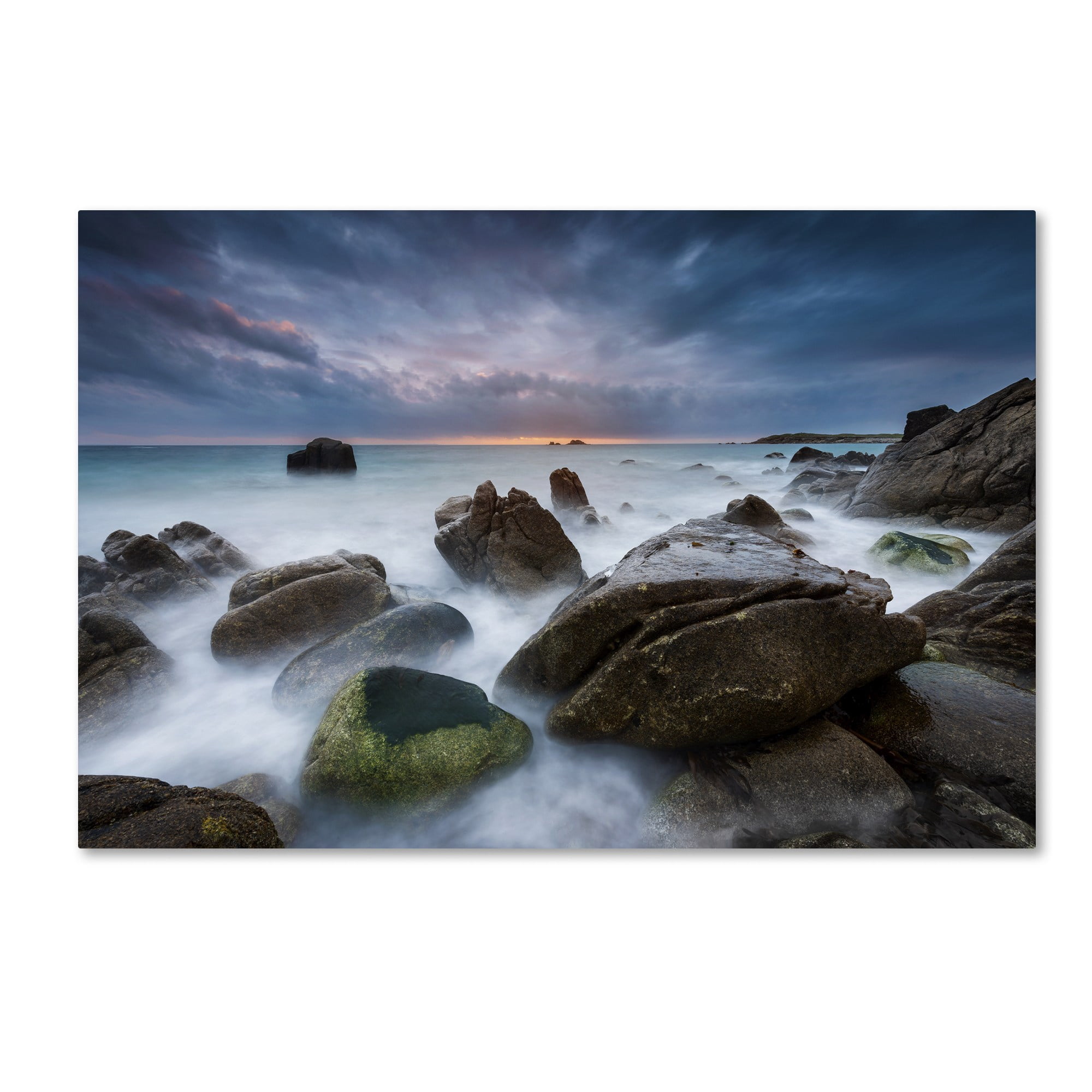 "The Ocean Dream" Canvas Art by Mathieu Rivrin