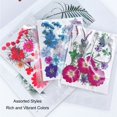 thumbnail image 3 of Pressed Flowers, 100 Pcs Resin Flowers for Resin Mold, Assorted Styles Pressed Flowers Dried Flower Kit for Scrapbooking Supplies Card Making Supplies, 3 of 7