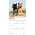 thumbnail image 3 of Cairn Terriers | 2026 12x24" (Hanging) Wall Calendar | Plastic-Free | BrownTrout, 3 of 9