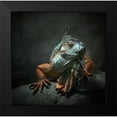 thumbnail image 2 of Droste, Holger 12x12 Black Modern Framed Museum Art Print Titled - I Am The King ,.. Who Else !, 2 of 5