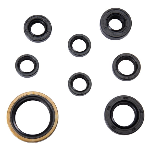 Tusk Engine Oil Seal Kit