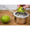 thumbnail image 4 of RSVP International Endurance® Citrus Juicer, 4 of 4