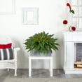 thumbnail image 2 of Nearly Natural Boston Fern Artificial Plant in Stone Planter, 2 of 4