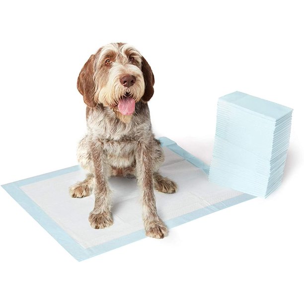 Walmart best sale pee pads