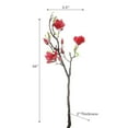thumbnail image 2 of Magnolia Large Spray Red, 2 of 3