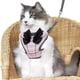 thumbnail image 5 of Cuerda para mascotas, ropa para gatos, correa para el pecho para mascotas, cuerda para gatos, chaleco con cadena para perros, correa para el pecho con lazo, 5 of 6
