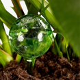 thumbnail image 3 of Maceta de riego automático con bola de riego, 4 Uds., 7,5x20cm, para plantas en macetas, 3 of 5