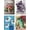 Flower-30x40cm/4pack, variant on JYLMOOD 6pcs Paint by Numbers for Adults Kits, DIY Easy Painting by Numbers for Gift Home Wall Decoration 30x40cm（without Frame)