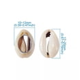 thumbnail image 2 of U8MO 100 No Hole Shell Conch Beads Cut Back Money Shell Cowrie Beads Crafting 17~20mm, 2 of 9