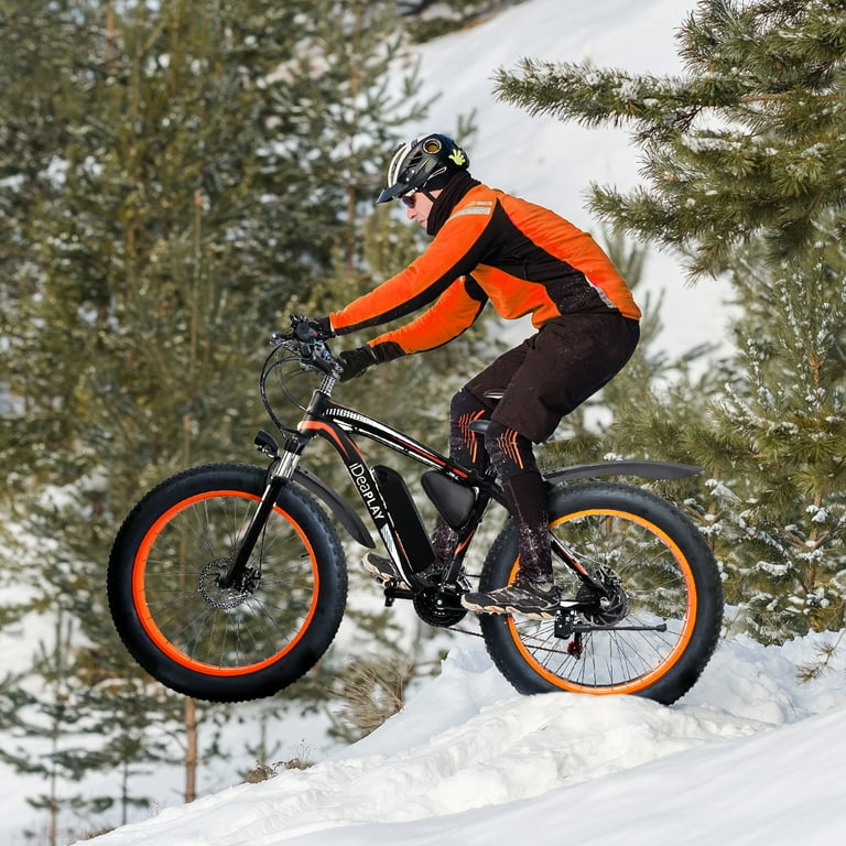 Rich bit cheap fat snow bike