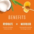 thumbnail image 2 of Cantu Care for Kids Nourishing Shampoo, 270 ml, 2 of 3