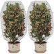 thumbnail image 1 of filet Anti-insectes Avec Cordon De Serrage (1,5 * 1 M, 2 Pices) - Couverture Vgtale En Filet Anti-insectes De Jardin, Utilize Pour Protger Les Pla, 1 of 5