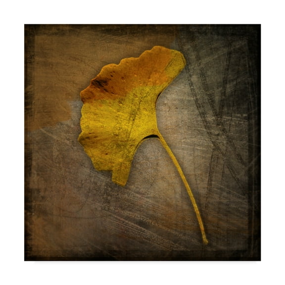 Trademark Fine Art 'Gingko Brown' Canvas Art by John W. Golden