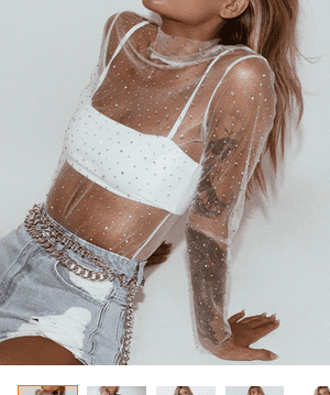 sheer long sleeve turtleneck