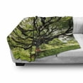 thumbnail image 3 of Nature Soft Flannel Fleece Throw Blanket, Largest Monkey Pod Tree in Thailand Eastern Green Big Branches Growth Eco Photo, Cozy Plush for Indoor and Outdoor Use, 50" x 70", Green Brown, by Ambesonne, 3 of 6