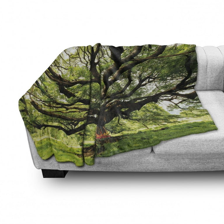 Nature Soft Flannel Fleece Throw Blanket Largest Monkey Pod Tree in Thailand Eastern Green Big Branches Growth Eco Photo Cozy Plush for Indoor and