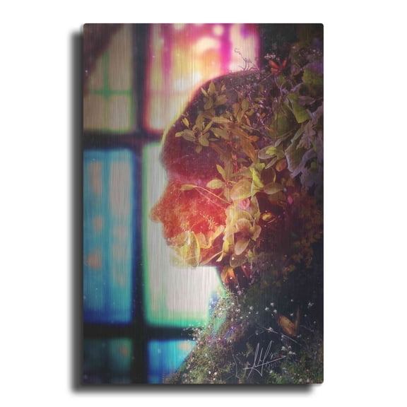Luxe Metal Art 'Amnesty' by Mario Sanchez Nevado, Metal Wall Art, 12"x16"