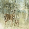 thumbnail image 2 of Audit, Lisa 26x26 Black Ornate Wood Framed with Double Matting Museum Art Print Titled - Natures Call II neutral, 2 of 4